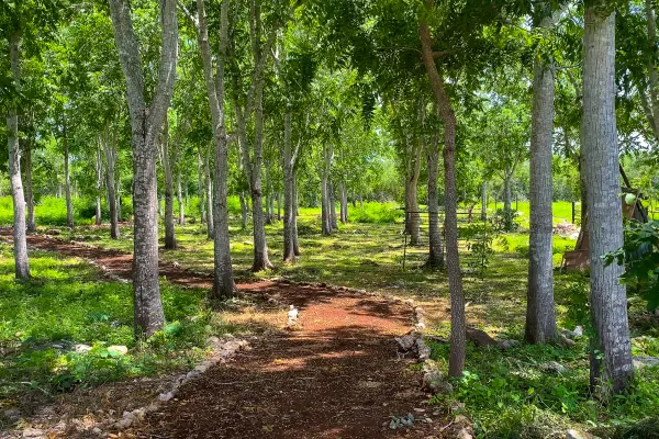 Parque Semilla
